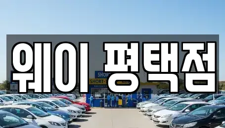 경기 평택시 비전동 장기렌트카 전문 웨이 평택점