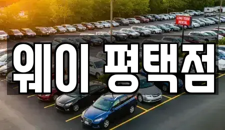 경기 평택시 비전동 장기렌트카 전문 웨이 평택점