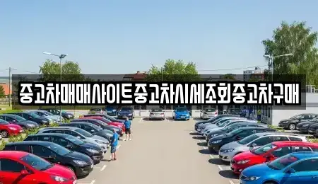 경기 평택시 비전동 중고차 전문 중고차매매사이트중고차시세조회중고차구매