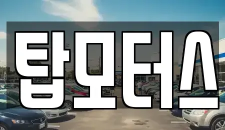 경기 평택시 비전동 중고차 전문 탑모터스