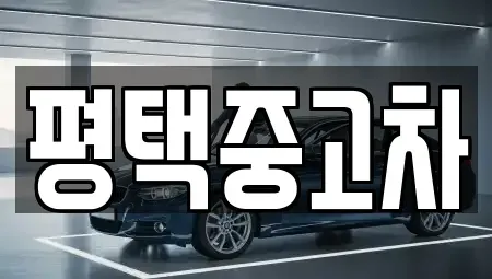 경기 평택시 비전동 중고차 전문 평택중고차