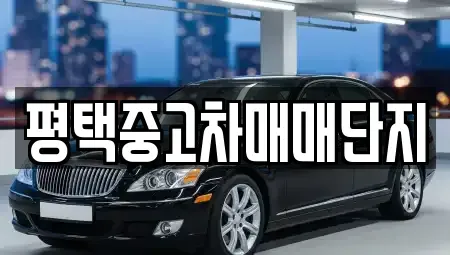경기 평택시 비전동 중고차,렌트카,중고차매입,중고차매매,장기렌트카,단기렌트카