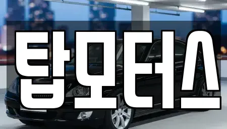 경기 평택시 비전동 중고차매매 전문 탑모터스