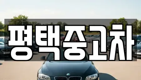 경기 평택시 비전동 중고차매매 전문 평택중고차