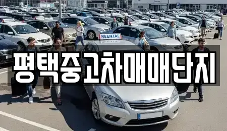 경기 평택시 비전동 중고차매매,단기렌트카,중고차매입,장기렌트카,중고차,렌트카