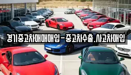 경기 평택시 비전동 중고차매입 전문 경기중고차매매매입-중고차수출.사고차매입