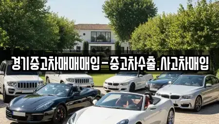 경기 평택시 비전동 중고차매입 전문 경기중고차매매매입-중고차수출.사고차매입
