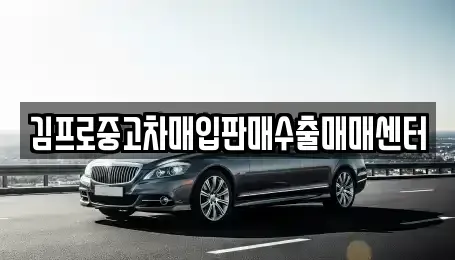 경기 평택시 비전동 중고차매입 전문 김프로중고차매입판매수출매매센터