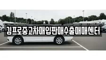 경기 평택시 비전동 중고차매입 전문 김프로중고차매입판매수출매매센터