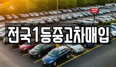 경기 평택시 비전동 중고차매입 전문 전국1등중고차매입