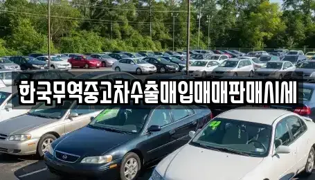 경기 평택시 비전동 중고차매입 전문 한국무역중고차수출매입매매판매시세