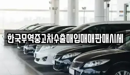 경기 평택시 비전동 중고차매입 전문 한국무역중고차수출매입매매판매시세