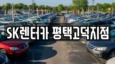 경기 평택시 이충동 렌트카 전문 SK렌터카 평택고덕지점