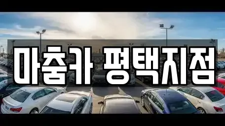 경기 평택시 이충동 렌트카 전문 마춤카 평택지점