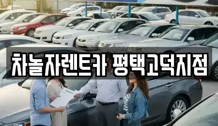 경기 평택시 이충동 렌트카 전문 차놀자렌트카 평택고덕지점