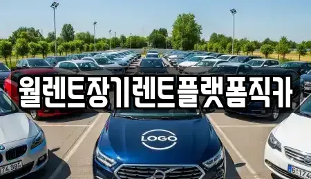 경기 평택시 이충동 장기렌트카 전문 월렌트장기렌트플랫폼직카