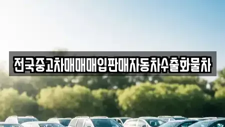 경기 평택시 이충동 중고차 전문 전국중고차매매매입판매자동차수출화물차