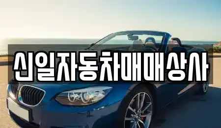 경기 포천시 설운동 중고차매매 전문 신일자동차매매상사