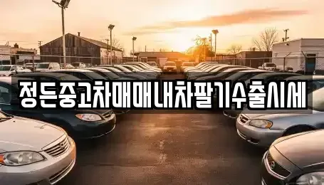 경기 포천시 일동면 중고차매매 전문 정든중고차매매내차팔기수출시세