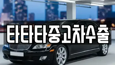경기 포천시 일동면 중고차매매 전문 타타타중고차수출