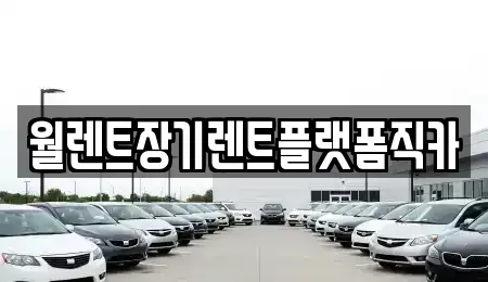 경기 하남시 하산곡동 장기렌트카 전문 월렌트장기렌트플랫폼직카