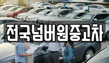 경기 하남시 항동 중고차 전문 전국넘버원중고차