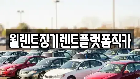 경기 화성시 방교동 장기렌트카 전문 월렌트장기렌트플랫폼직카