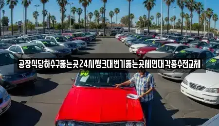 경기 화성시 방교동 중고차매입 전문 공장식당하수구뚫는곳24시씽크대변기뚫는곳세면대각종수전교체