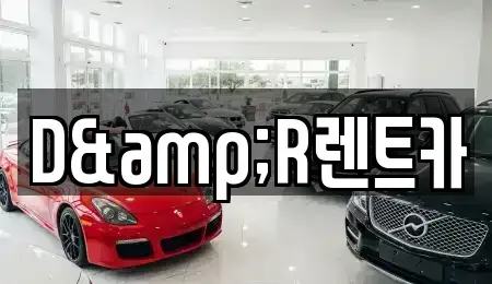 경기 화성시 배양동 렌트카 전문 D&R렌트카