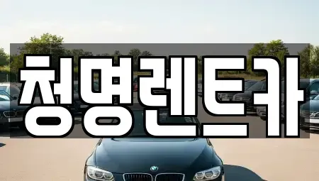 경기 화성시 배양동 렌트카 전문 청명렌트카