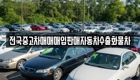 경기 화성시 배양동 중고차매입 전문 전국중고차매매매입판매자동차수출화물차