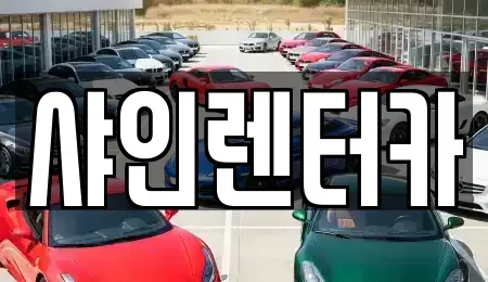 경기 화성시 오산동 렌트카 전문 샤인렌터카