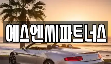 경기 화성시 오산동 렌트카 전문 에스엔씨파트너스