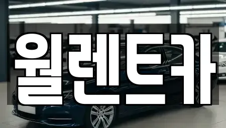 경기 화성시 오산동 렌트카 전문 월렌트카