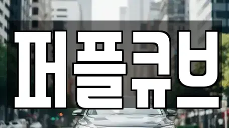경기 화성시 오산동 장기렌트카 전문 퍼플큐브