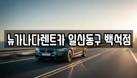 경기도 고양시 덕양구 토당동 단기렌트카 전문 뉴가나다렌트카 일산동구 백석점