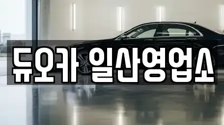 경기도 고양시 덕양구 토당동 렌트카 전문 듀오카 일산영업소