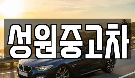 경기도 고양시 덕양구 토당동 중고차 전문 성원중고차