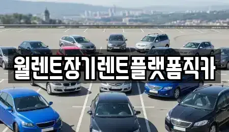 경기도 고양시 일산동구 중산동 렌트카 전문 월렌트장기렌트플랫폼직카