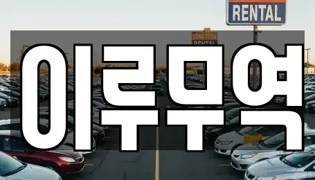 경기도 고양시 일산동구 중산동 중고차 전문 이루무역