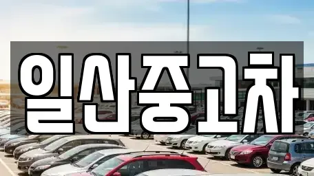 경기도 고양시 일산동구 중산동 중고차 전문 일산중고차
