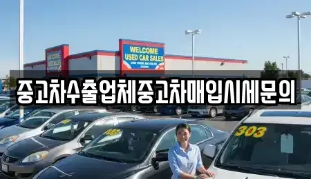 경기도 고양시 일산동구 중산동 중고차 전문 중고차수출업체중고차매입시세문의