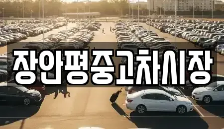 경기도 광주시 직동 중고차 전문 장안평중고차시장