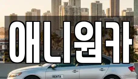 경기도 군포시 도마교동 렌트카 전문 애니원카
