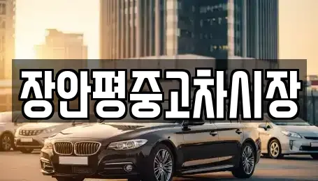 경기도 군포시 도마교동 중고차매매 전문 장안평중고차시장