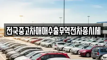 경기도 군포시 도마교동 중고차매매 전문 전국중고차매매수출무역전차종시세