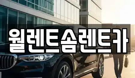 경기도 김포시 통진읍 렌트카 전문 월렌트솜렌트카