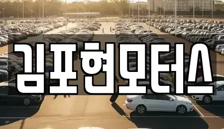 경기도 김포시 통진읍 중고차매매 전문 김포현모터스