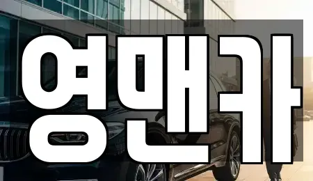 경기도 김포시 통진읍 중고차매매 전문 영맨카