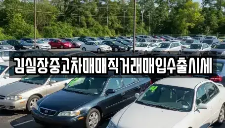 경기도 김포시 통진읍 중고차매입 전문 김실장중고차매매직거래매입수출시세